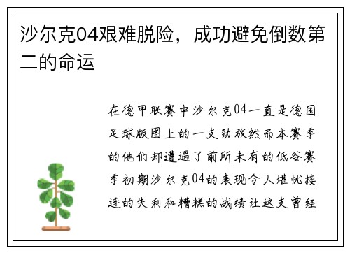 沙尔克04艰难脱险，成功避免倒数第二的命运