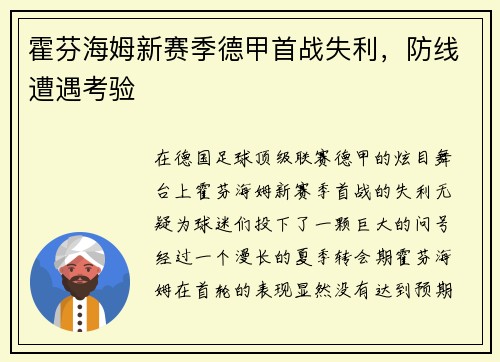 霍芬海姆新赛季德甲首战失利，防线遭遇考验